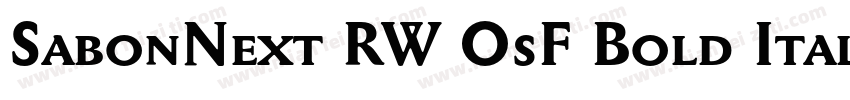 SabonNext RW OsF Bold Italic字体转换
